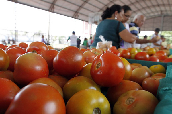 Foto colorida de tomates em barraca na feira para ilustrar o alerta da Anvisa que aponta contaminação em mais de 60% dos alimentos que chegam à mesa dos brasileiros.