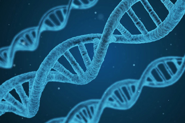 Imagem colorida de moléculas de DNA que ilustram texto sobre o acesso aberto aos avanços da pesquisa científica.