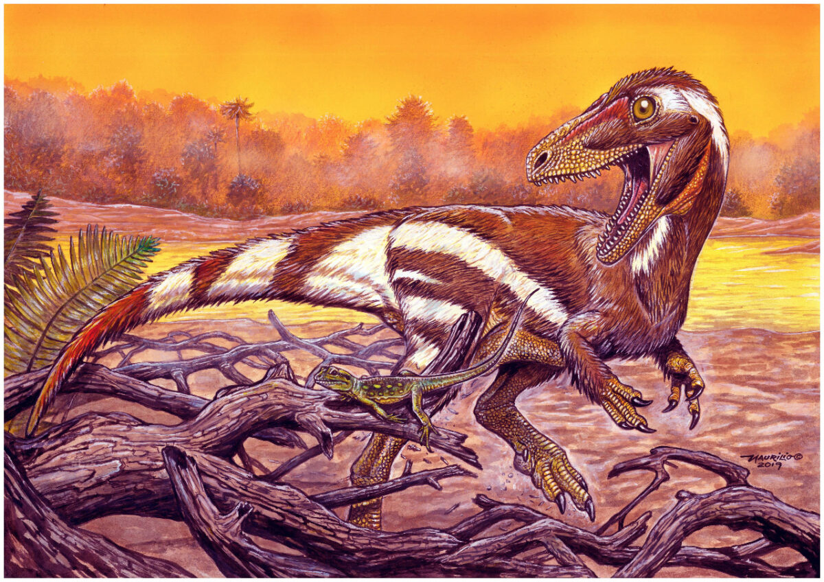 Paleoilustração do Aratasaurus museonacionalis