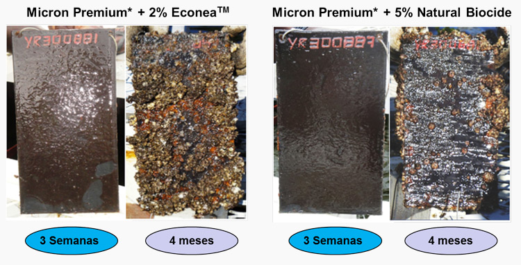Imagem mostra duas experiências. Na primeira, o antes e depois sem o biocida. Na segunda, com o uso do produto e diminuição da incrustação