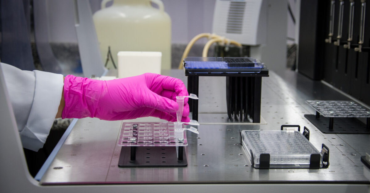 Mão com luva descartável rosa realiza experimento com amostras em laboratório