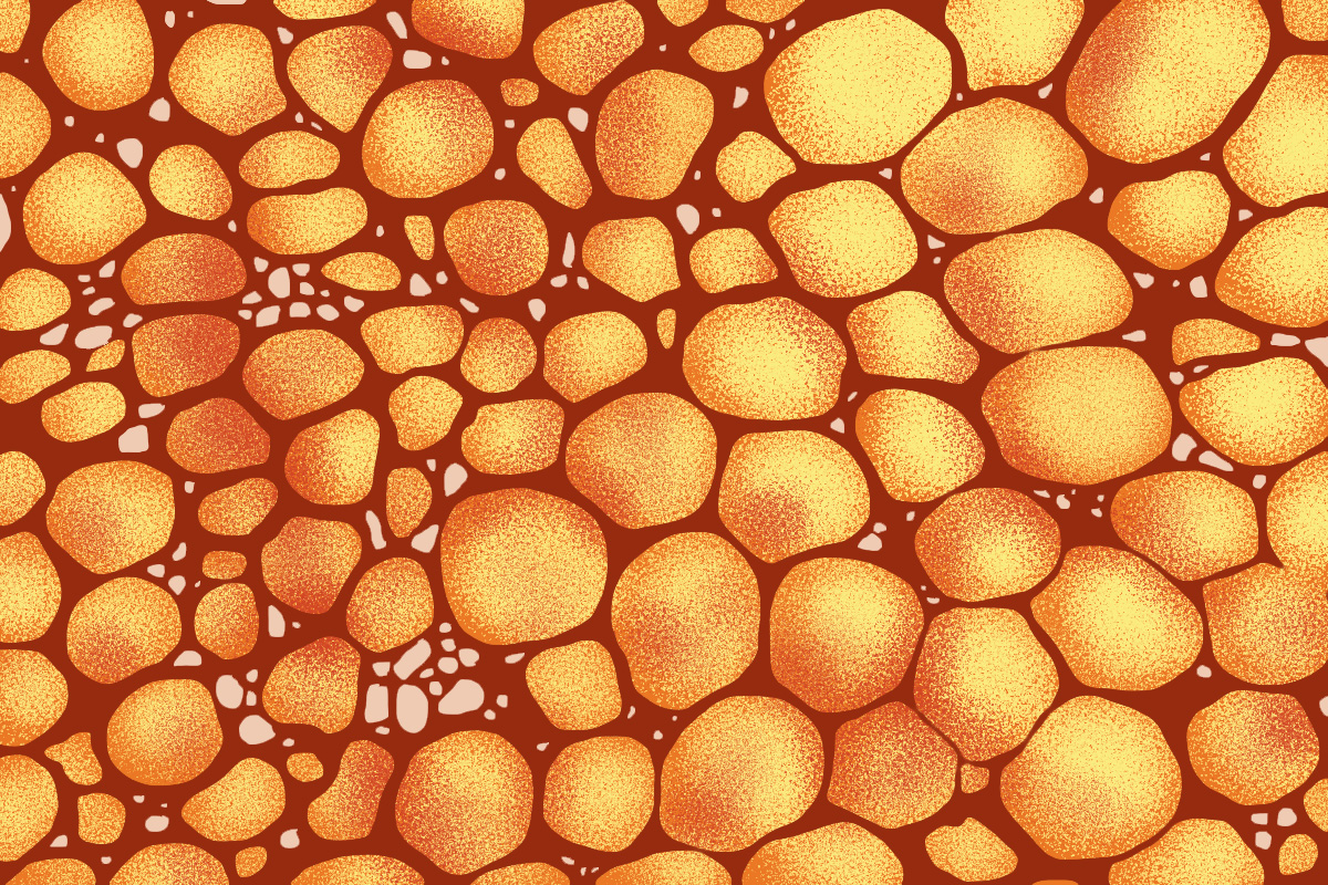 Ilustração de células adiposas de gordura marrom e de gordura branca