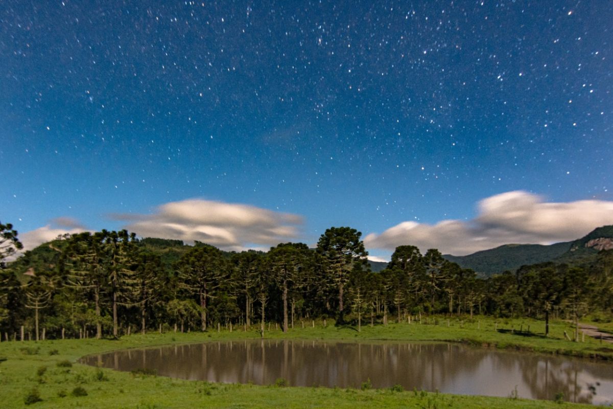 Fotografia mostra um lago, vegetação e o céu estrelado.