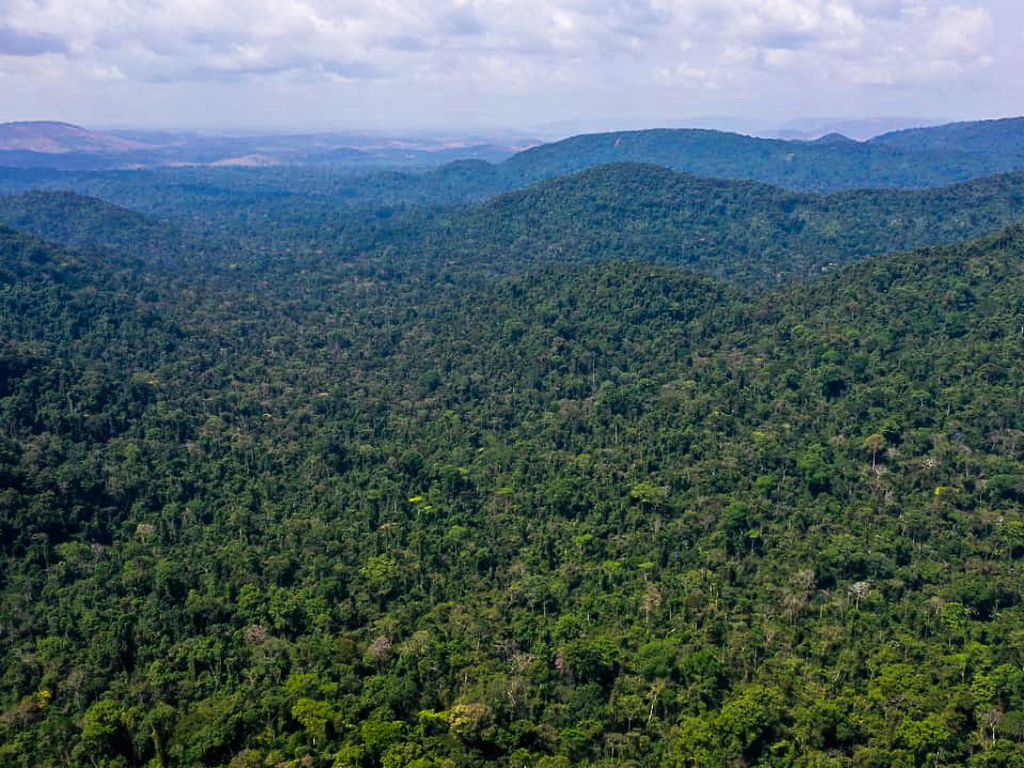 Foto de cima da Floresta Amazônica