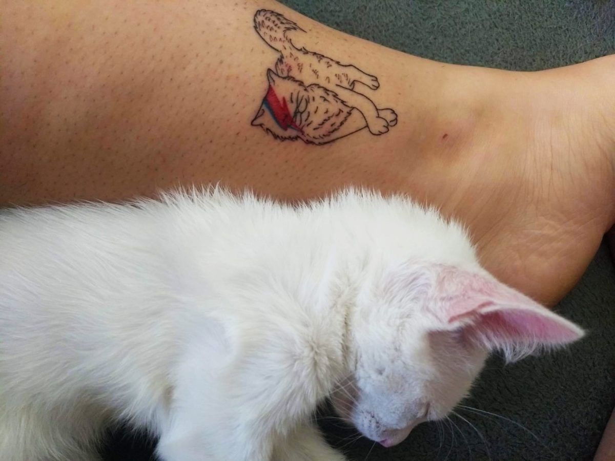 Um gato branco encostado em uma perna onde há a tatuagem de um gato.