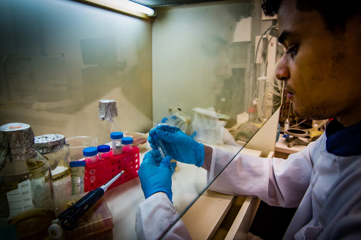 Fotografia mostra um homem trabalhando em um laboratório cuja bancada é protegida por um vidro. Ele usa jaleco e luvas enquanto manipula material em um frasco