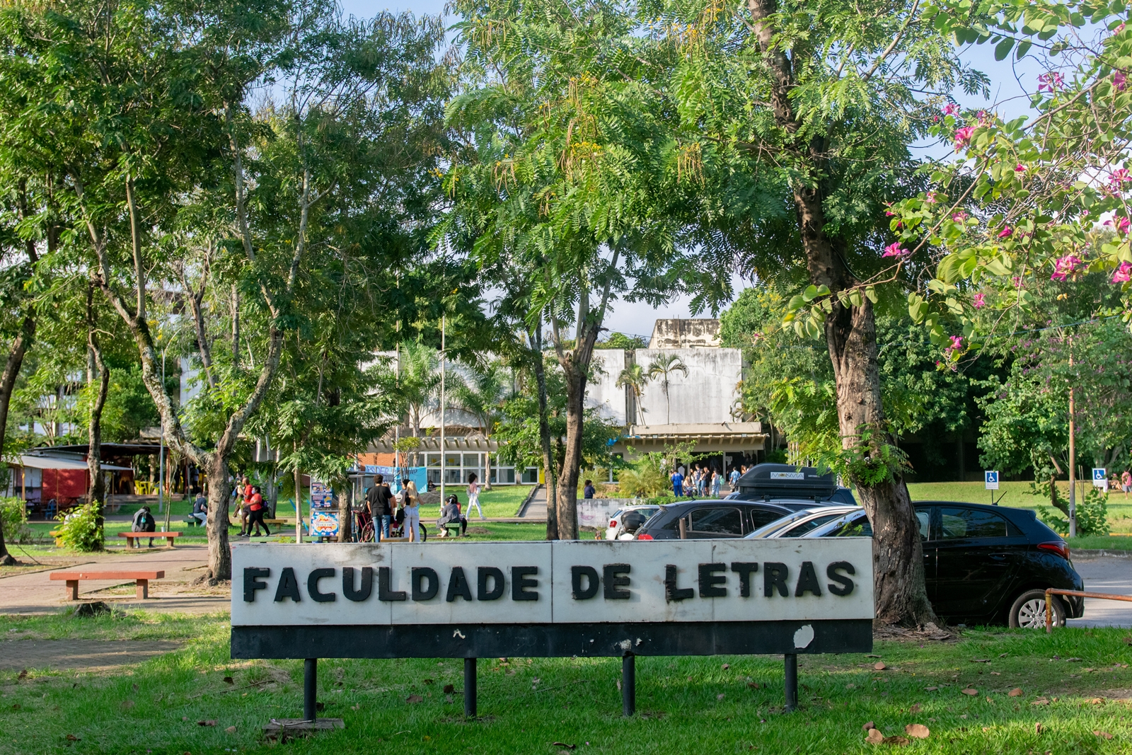 Fotografia apresenta o bosque de entrada da Faculdade de Letras, com árvores e alguns carros ao fundo.