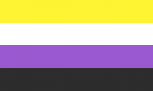 Bandeira que inclui quatro cores na mesma proporção horizontalmente, na seguinte ordem: amarelo, branco, roxo, preto. 