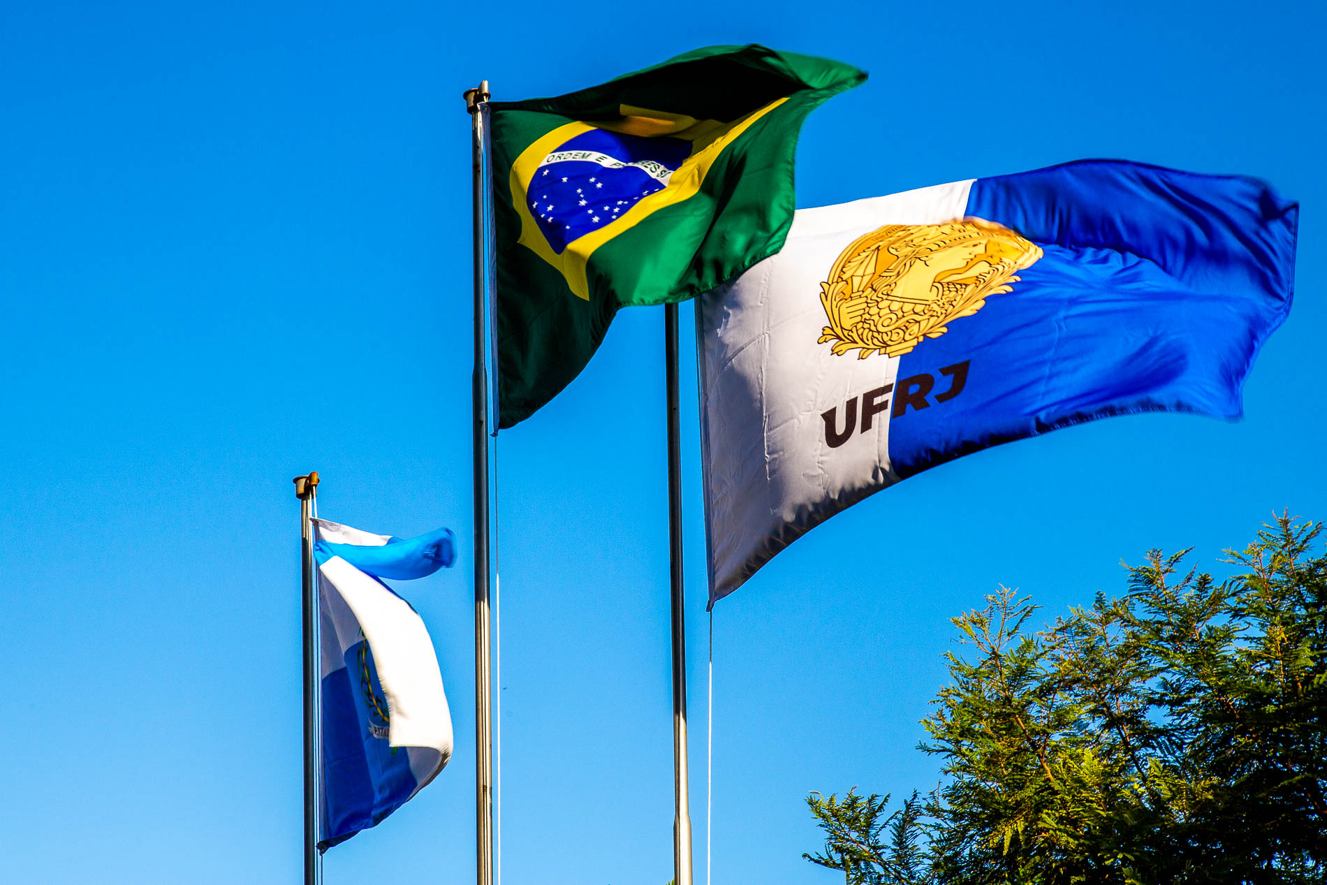 Ufrj é A Melhor Universidade Federal Do Brasil Em Ranking De Transparência Em Recursos Públicos