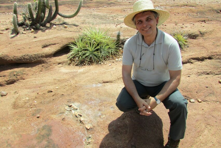 Ismar de Souza Carvalho, do Instituto de Geociências, publica artigo de capa na Nature sobre nova espécie de ave pré-histórica brasileira