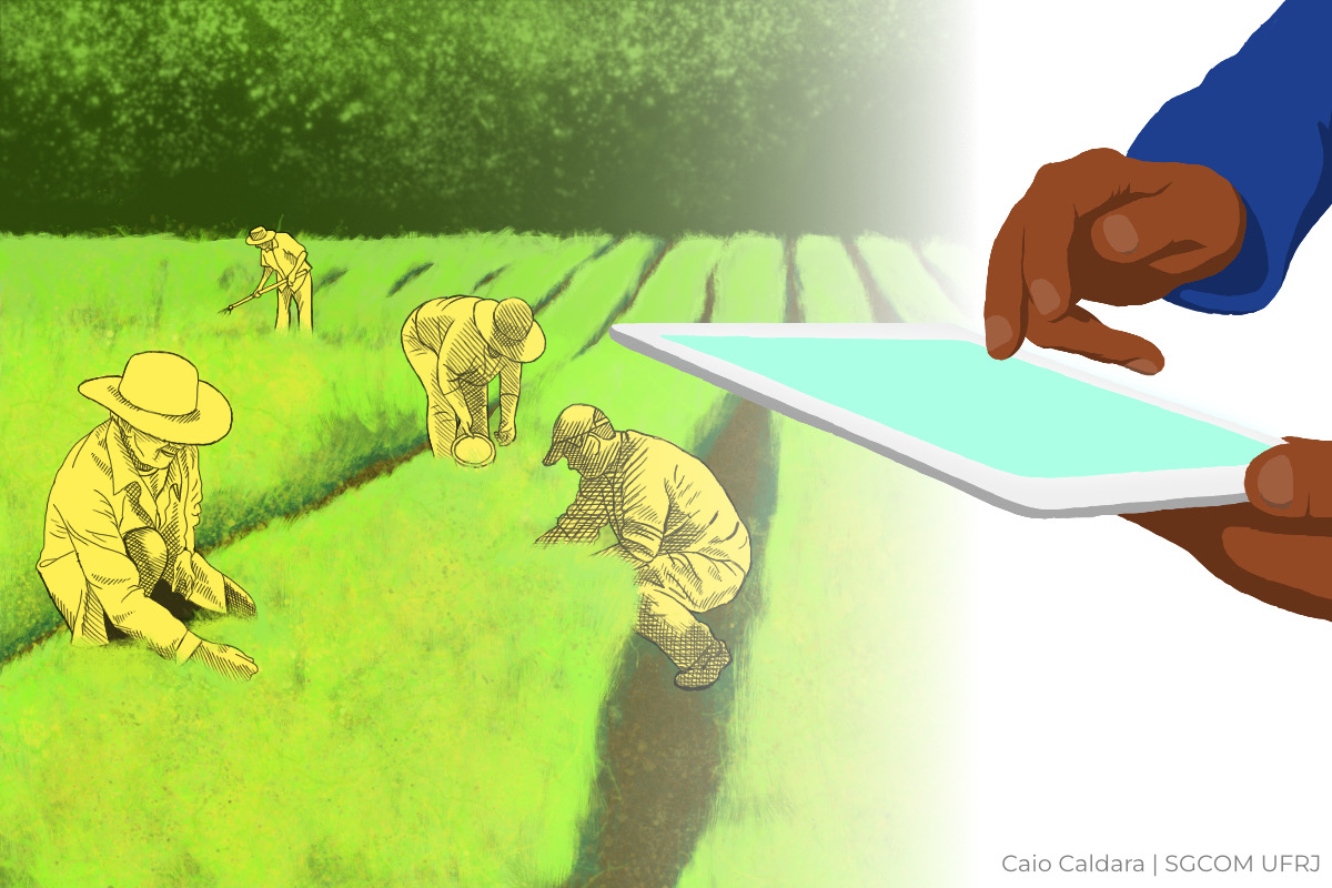 Sistema de software livre desenvolvido em projeto de extensão fortalece a agricultura familiar