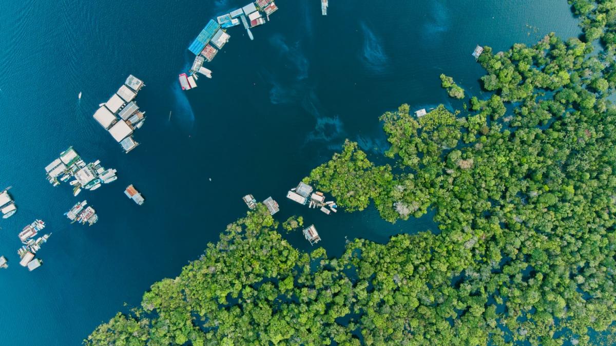 Vista aérea do Rio Amazonas com casas sobre o rio e a floresta ao lado.