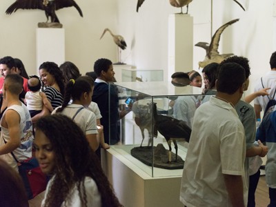 Foto colorida de estudantes visitando as exposições do Museu Nacional.