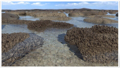 Rochas similares às encontradas nos resevatórios do pré-sal.