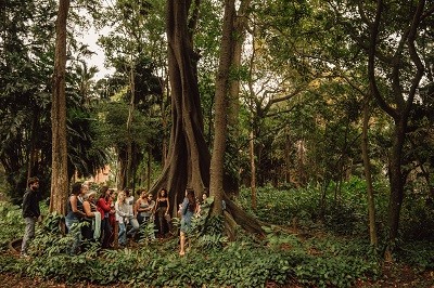 Um grupo de pessoas conversa no jardim do Horto Botânico do Museu Nacional